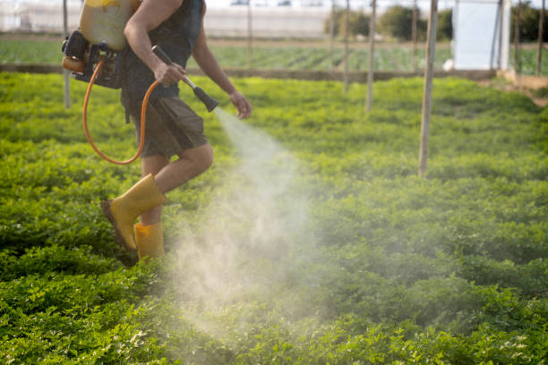 Best Insect Control  in Cnelius, OR