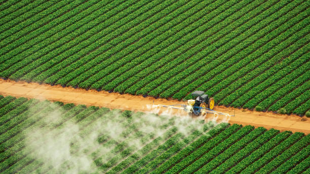 Best Pest Prevention Services  in Cnelius, OR
