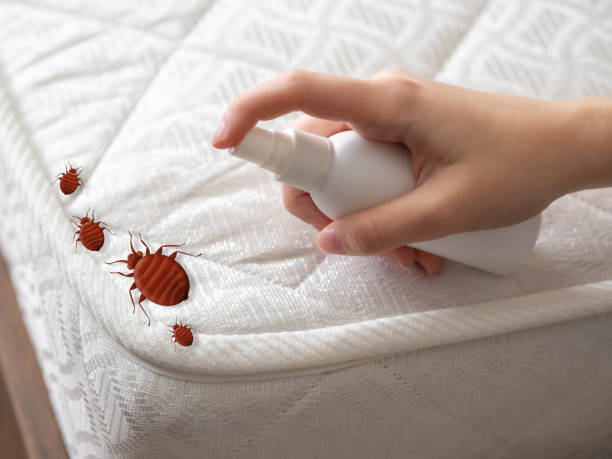 Best Local Pest Control Services  in Cnelius, OR