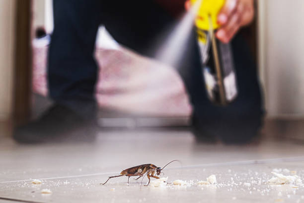 Best Affordable Pest Control Services  in Cnelius, OR